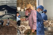 六爻自学奇富科技百万帮扶云南中屏镇：菌菇田里的振兴密码与“村BA”的双向奔赴