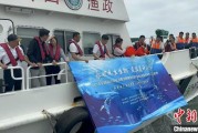 六爻自学浙江今年计划放流种类海洋水生生物苗种超15亿单位