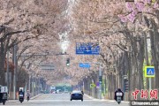 六爻自学共建“花园城市” 北京这场议政会“百花齐放”